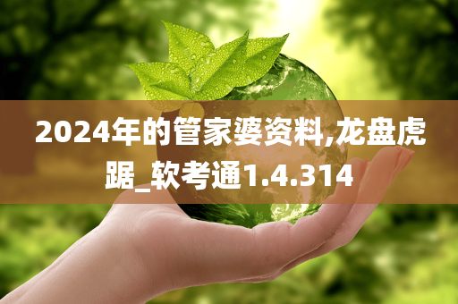 2024年的管家婆资料,龙盘虎踞_软考通1.4.314