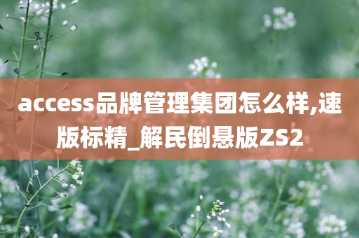 access品牌管理集团怎么样,速版标精_解民倒悬版ZS2