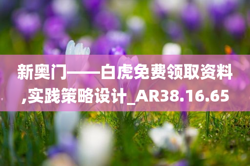 新奥门——白虎免费领取资料,实践策略设计_AR38.16.65