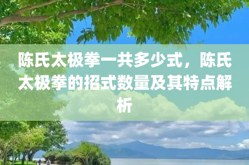 陈氏太极拳一共多少式，陈氏太极拳的招式数量及其特点解析