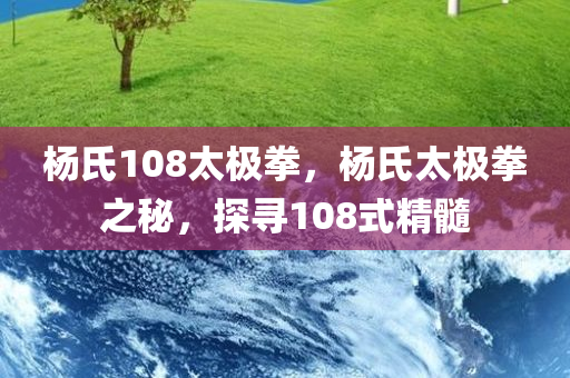 杨氏108太极拳，杨氏太极拳之秘，探寻108式精髓