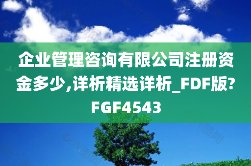 企业管理咨询有限公司注册资金多少,详析精选详析_FDF版?FGF4543