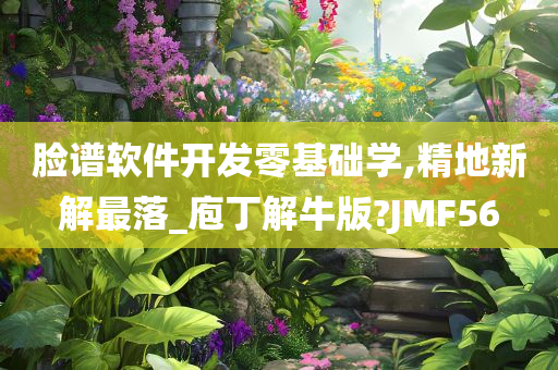 脸谱软件开发零基础学,精地新解最落_庖丁解牛版?JMF56