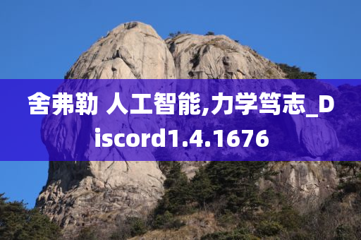 舍弗勒 人工智能,力学笃志_Discord1.4.1676