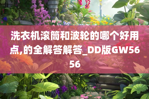 洗衣机滚筒和波轮的哪个好用点,的全解答解答_DD版GW5656