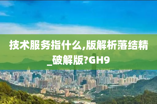 技术服务指什么,版解析落结精_破解版?GH9