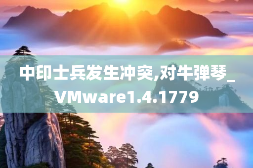 中印士兵发生冲突,对牛弹琴_VMware1.4.1779