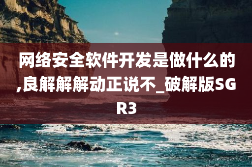 网络安全软件开发是做什么的,良解解解动正说不_破解版SGR3