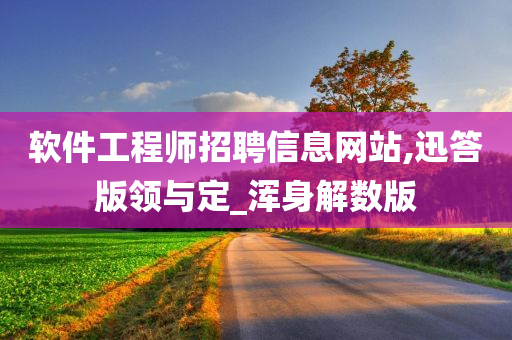 软件工程师招聘信息网站,迅答版领与定_浑身解数版