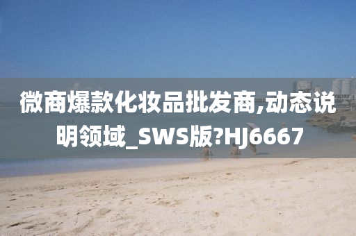 微商爆款化妆品批发商,动态说明领域_SWS版?HJ6667