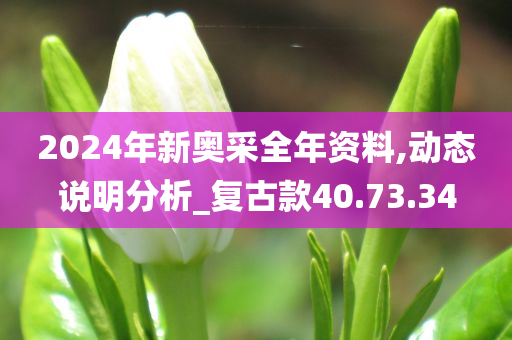 2024年新奥采全年资料,动态说明分析_复古款40.73.34