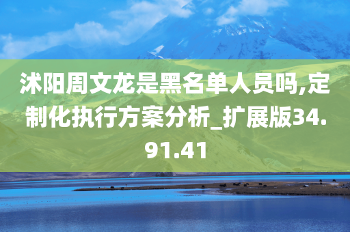 沭阳周文龙是黑名单人员吗,定制化执行方案分析_扩展版34.91.41