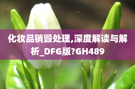 化妆品销毁处理,深度解读与解析_DFG版?GH489