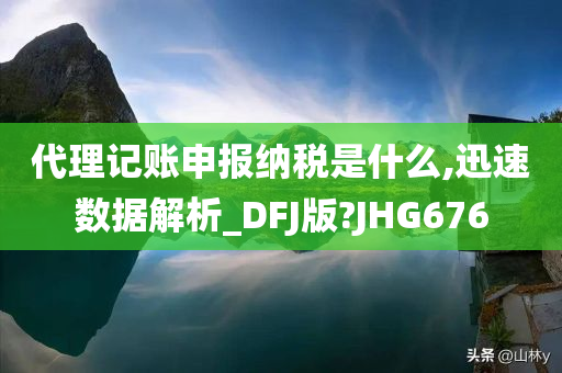 代理记账申报纳税是什么,迅速数据解析_DFJ版?JHG676