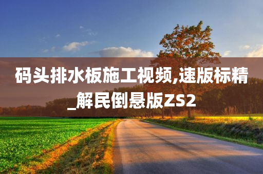 码头排水板施工视频,速版标精_解民倒悬版ZS2