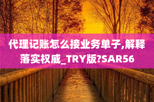 代理记账怎么接业务单子,解释落实权威_TRY版?SAR56