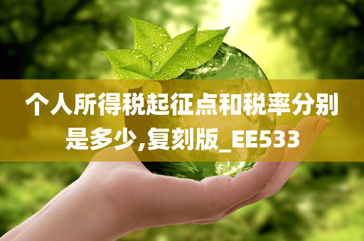 个人所得税起征点和税率分别是多少,复刻版_EE533