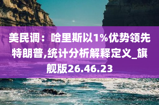 美民调：哈里斯以1%优势领先特朗普,统计分析解释定义_旗舰版26.46.23