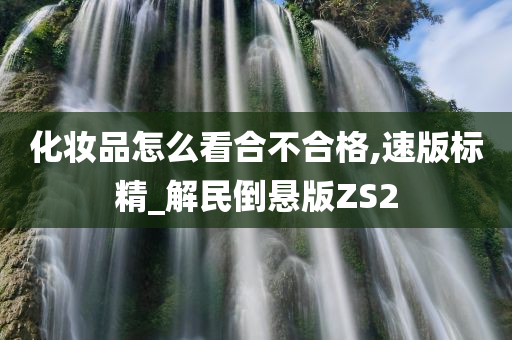 化妆品怎么看合不合格,速版标精_解民倒悬版ZS2