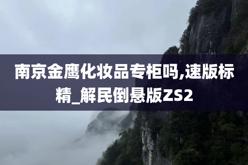 南京金鹰化妆品专柜吗,速版标精_解民倒悬版ZS2