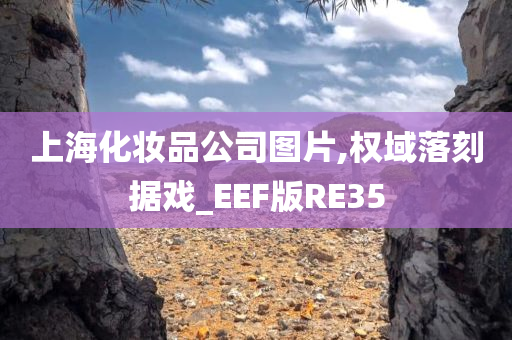 上海化妆品公司图片,权域落刻据戏_EEF版RE35