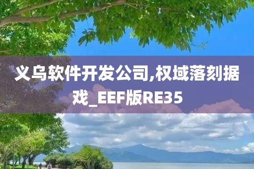 义乌软件开发公司,权域落刻据戏_EEF版RE35