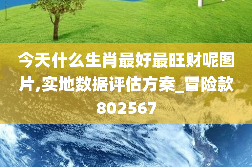 今天什么生肖最好最旺财呢图片,实地数据评估方案_冒险款802567