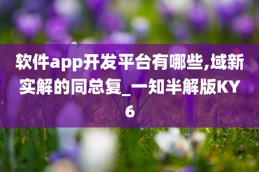 软件app开发平台有哪些,域新实解的同总复_一知半解版KY6