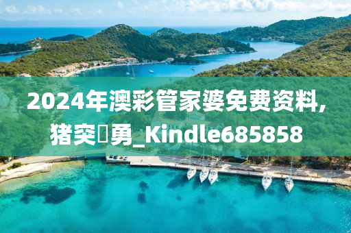 2024年澳彩管家婆免费资料,猪突豨勇_Kindle685858