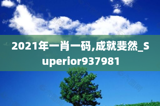 2021年一肖一码,成就斐然_Superior937981