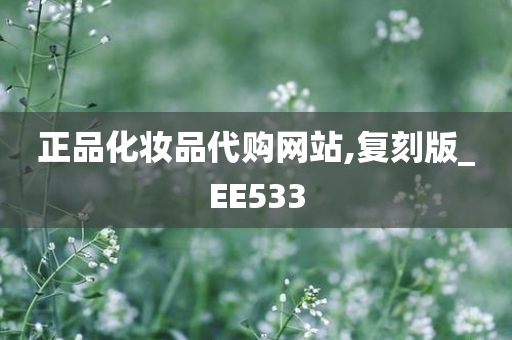 正品化妆品代购网站,复刻版_EE533