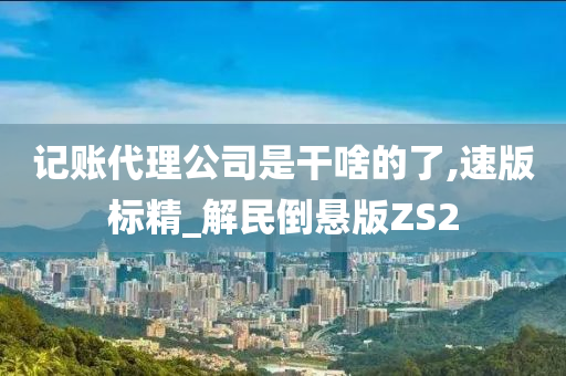 记账代理公司是干啥的了,速版标精_解民倒悬版ZS2