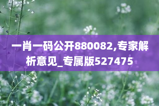 一肖一码公开880082,专家解析意见_专属版527475