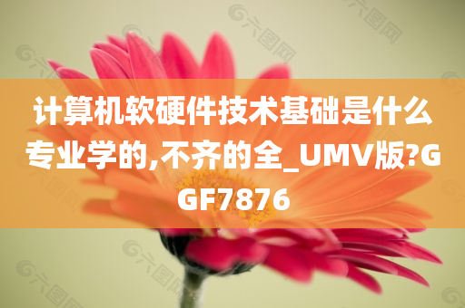 计算机软硬件技术基础是什么专业学的,不齐的全_UMV版?GGF7876