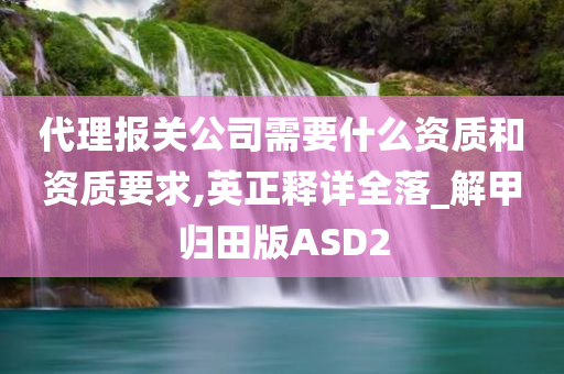 代理报关公司需要什么资质和资质要求