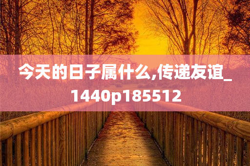 今天的日子属什么,传递友谊_1440p185512