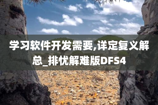 学习软件开发需要,详定复义解总_排忧解难版DFS4