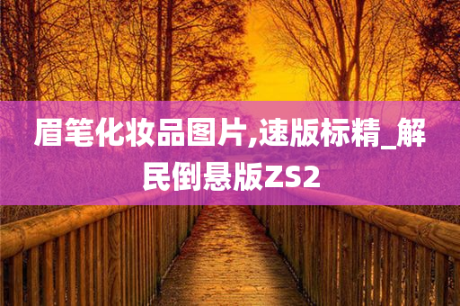 眉笔化妆品图片,速版标精_解民倒悬版ZS2