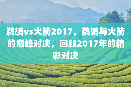 鹈鹕vs火箭2017，鹈鹕与火箭的巅峰对决，回顾2017年的精彩对决