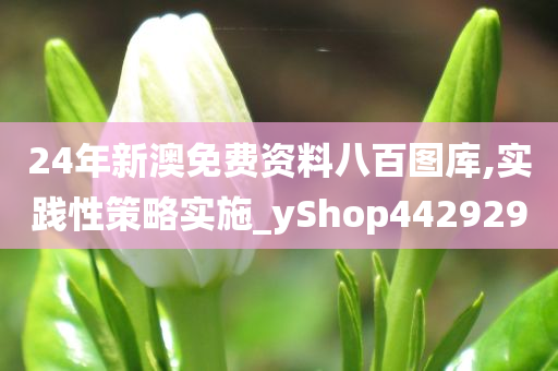 24年新澳免费资料八百图库,实践性策略实施_yShop442929