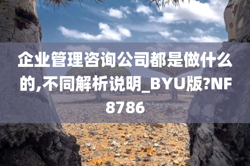 企业管理咨询公司都是做什么的,不同解析说明_BYU版?NF8786