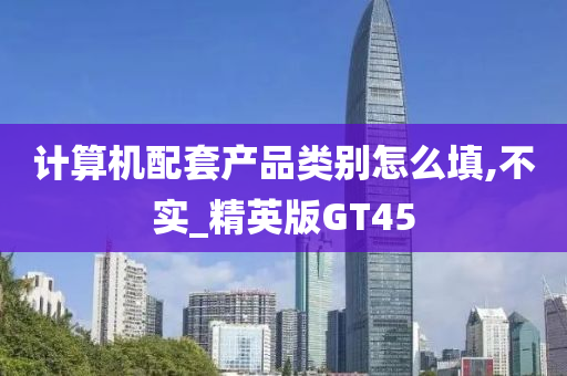 计算机配套产品类别怎么填,不实_精英版GT45