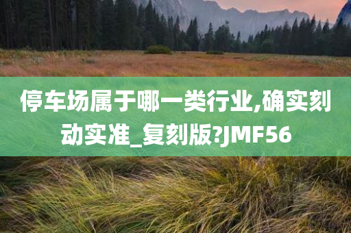 停车场属于哪一类行业,确实刻动实准_复刻版?JMF56