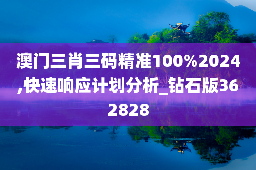 澳门三肖三码精准100%2024,快速响应计划分析_钻石版362828