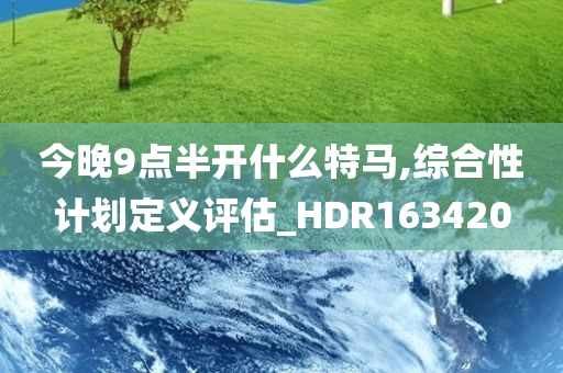 今晚9点半开什么特马,综合性计划定义评估_HDR163420