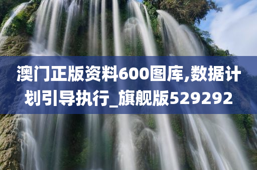 澳门正版资料600图库,数据计划引导执行_旗舰版529292