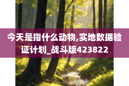 今天是指什么动物,实地数据验证计划_战斗版423822