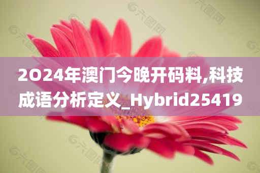 2O24年澳门今晚开码料,科技成语分析定义_Hybrid254190