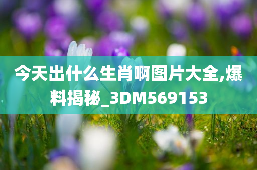 今天出什么生肖啊图片大全,爆料揭秘_3DM569153