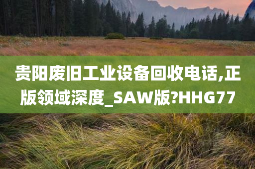 贵阳废旧工业设备回收电话,正版领域深度_SAW版?HHG77